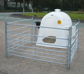 JFC Agri white large single calf hutch with side feeder in metal pen