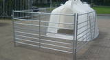 Calf hutch by JFC Agri; white compact group housing with metal penning system