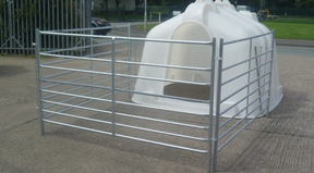 Calf hutch by JFC Agri; white compact group housing with metal penning system