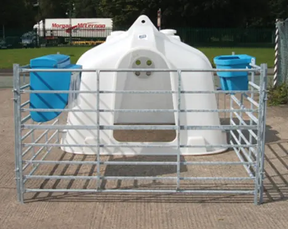 JFC Agri White Compact Group Calf Hutch with 4-teat milk feeder, blue buckets and metal pen fencing