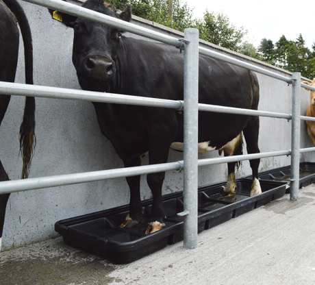 JFC Agri footbath for cows and sheep, 2.5m interlocking, smooth base