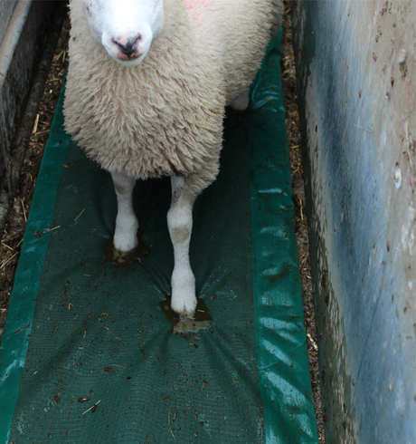 Footbath mat for sheep by JFC Agri, green hoof-treatment mat