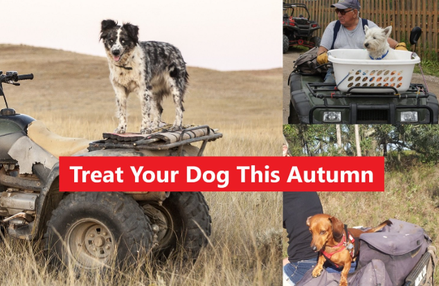 ATV Carrier Dog Mat by AGRI; heavy-duty rubber non-slip dog mat for cargo areas, 525mm x 1220mm