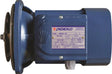 Pedrollo mixer motor, blue unit with brand label, for JFC Agri Milk Kart 170L/340L mixers