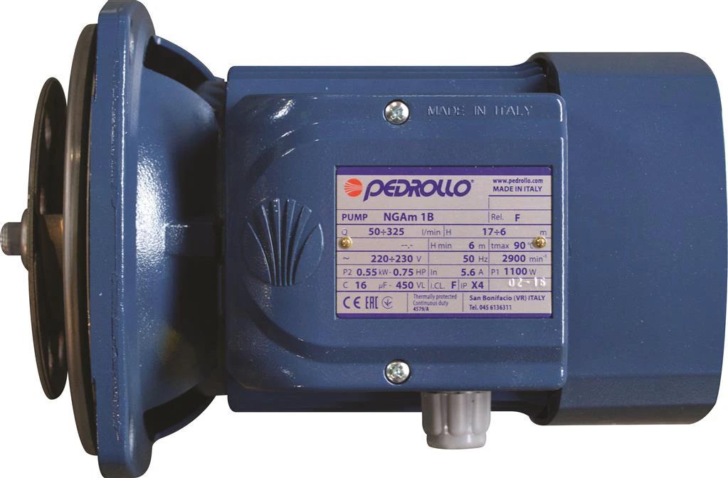 Pedrollo mixer motor, blue unit with brand label, for JFC Agri Milk Kart 170L/340L mixers