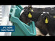 JFC GFT 4ft Gate Feed Trough | 45L | Polyethylene | Indoor & Outdoor