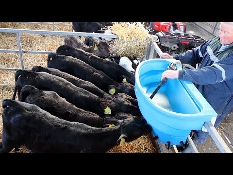 JFC Agri ATV Milk Kart 340L | 220V Mixer & 12V Pump | Top Spec Calf Milk Feeder | CE Certified | ATMK-340