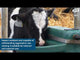 JFC Agri Stable Drinker 395 x 400 x 340mm | Livestock Drink Bowl with Brass Float Valve | SD-395