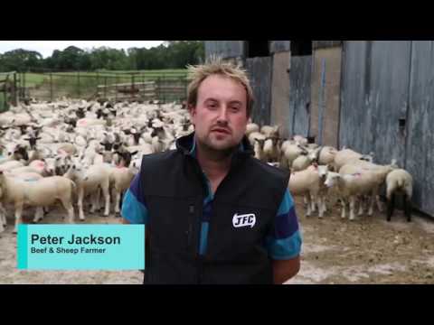 JFC Agri Sheep Footbath Foam 530 x 2380mm | Low-Stress Hoof Treatment Mat | FBF01
