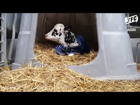 JFC Agri Large Single Calf Hutch White With Rear Door | Individual Calf Housing Up To 12 Weeks | CH110