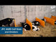 JFC Agri Calf Slat 900mm x 1200mm Black | Weather-Resistant Slat for Calf Hutches | SL09-1